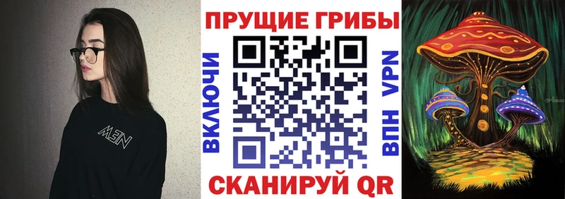 Псилоцибиновые грибы мицелий  гидра как зайти  Слюдянка 