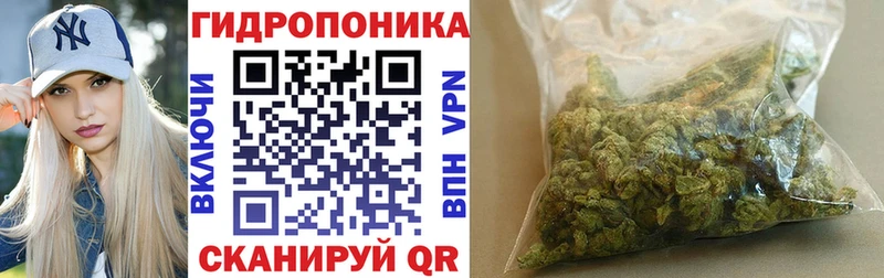 Конопля Bruce Banner  закладка  Слюдянка 